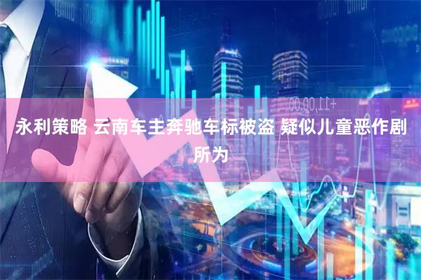 永利策略 云南车主奔驰车标被盗 疑似儿童恶作剧所为