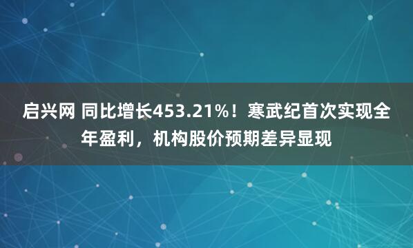 启兴网 同比增长453.21%！寒武纪首次实现全年盈利，机构股价预期差异显现