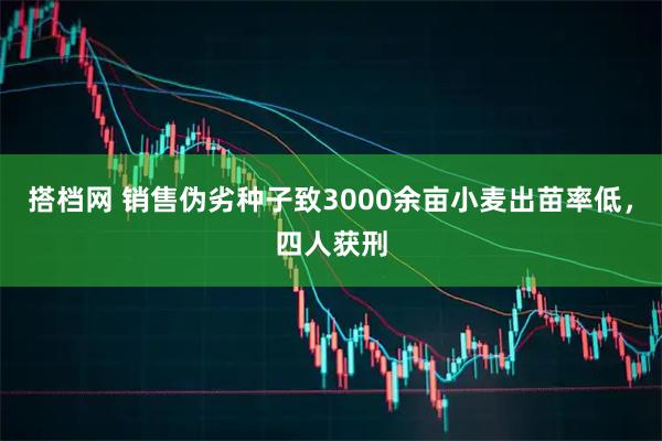 搭档网 销售伪劣种子致3000余亩小麦出苗率低，四人获刑
