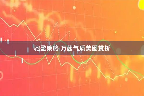 驰盈策略 万茜气质美图赏析