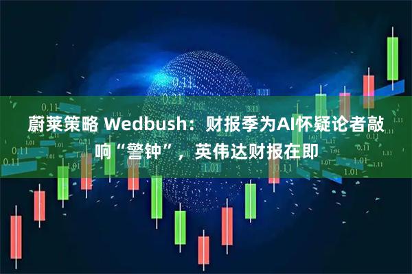 蔚莱策略 Wedbush：财报季为AI怀疑论者敲响“警钟”，英伟达财报在即