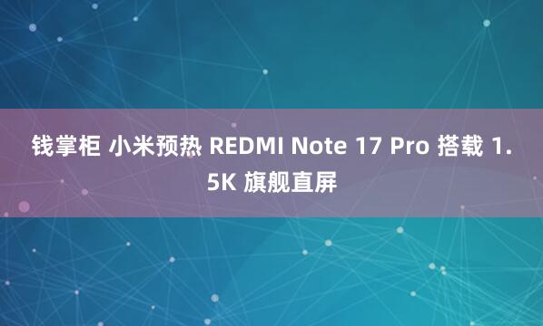 钱掌柜 小米预热 REDMI Note 17 Pro 搭载 1.5K 旗舰直屏