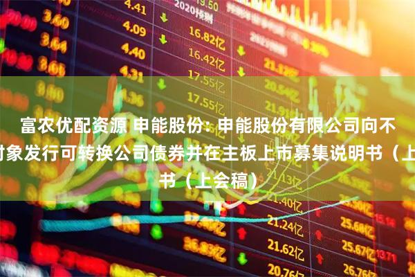 富农优配资源 申能股份: 申能股份有限公司向不特定对象发行可转换公司债券并在主板上市募集说明书（上会稿）