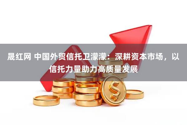 晟红网 中国外贸信托卫濛濛：深耕资本市场，以信托力量助力高质量发展