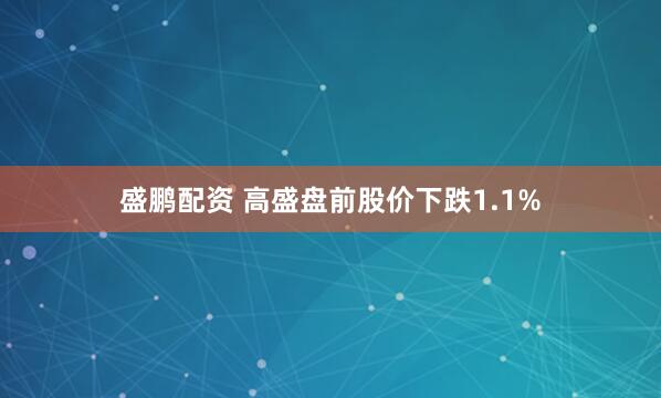 盛鹏配资 高盛盘前股价下跌1.1%