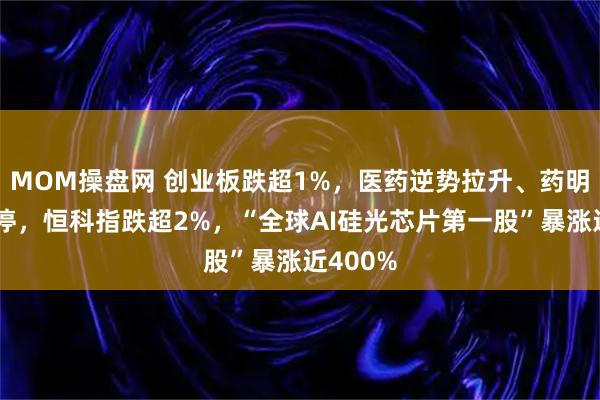 MOM操盘网 创业板跌超1%，医药逆势拉升、药明康德涨停，恒科指跌超2%，“全球AI硅光芯片第一股”暴涨近400%
