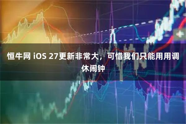 恒牛网 iOS 27更新非常大，可惜我们只能用用调休闹钟