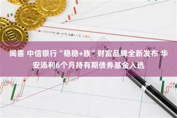 闻喜 中信银行“稳稳+族”财富品牌全新发布 华安添利6个月持有期债券基金入选
