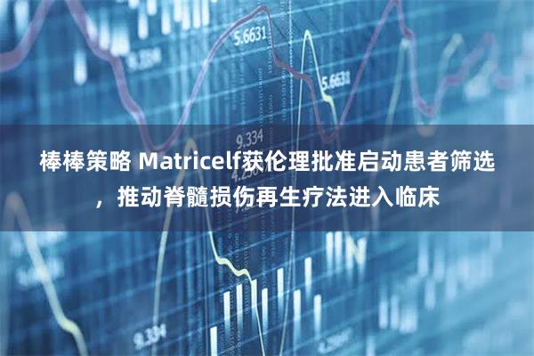 棒棒策略 Matricelf获伦理批准启动患者筛选，推动脊髓损伤再生疗法进入临床
