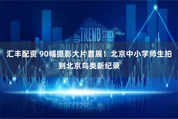 汇丰配资 90幅摄影大片首展！北京中小学师生拍到北京鸟类新纪录